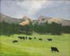 Black Angus